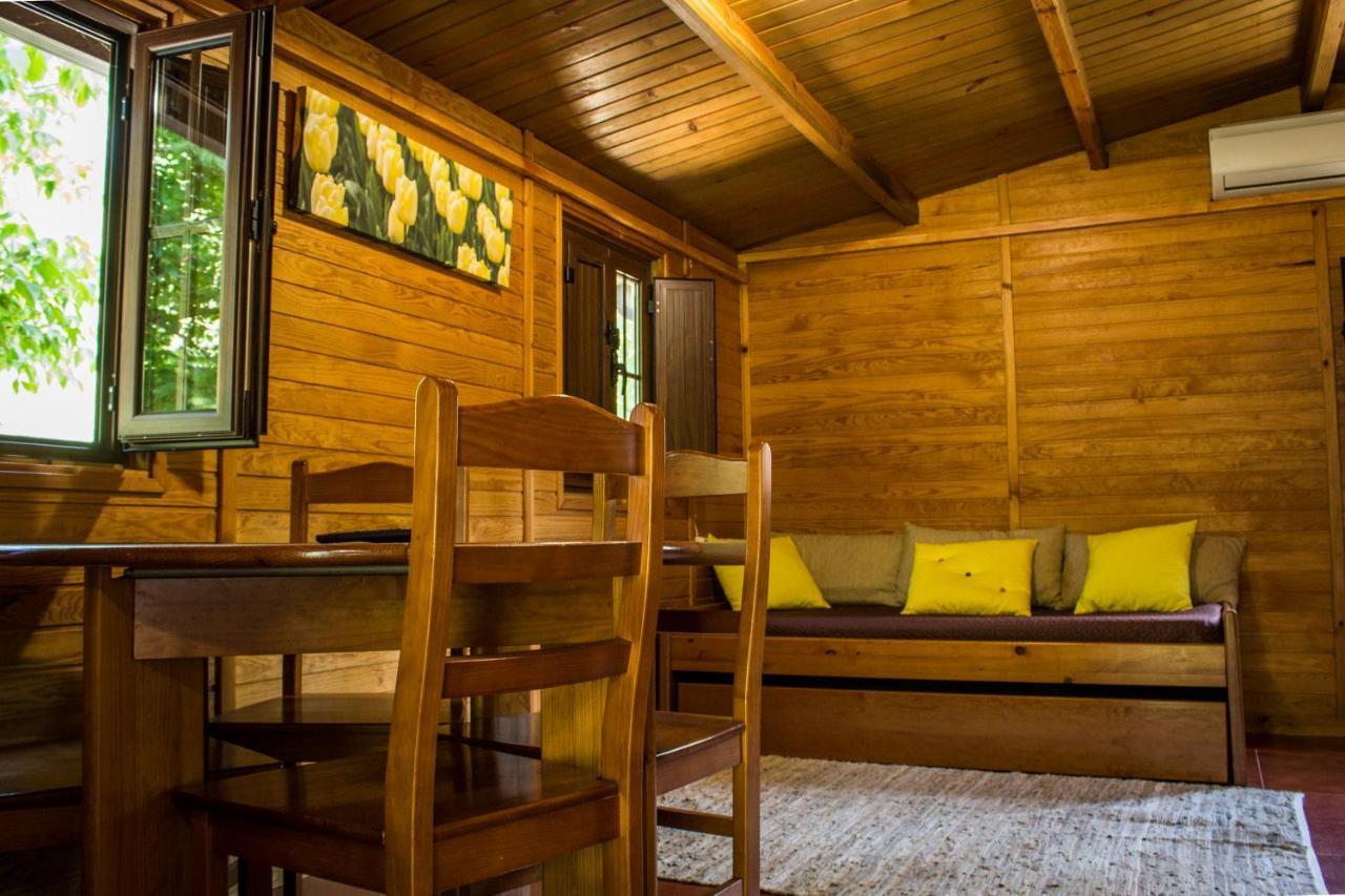 Xisto Camping Janeiro de Baixo Exteriör bild