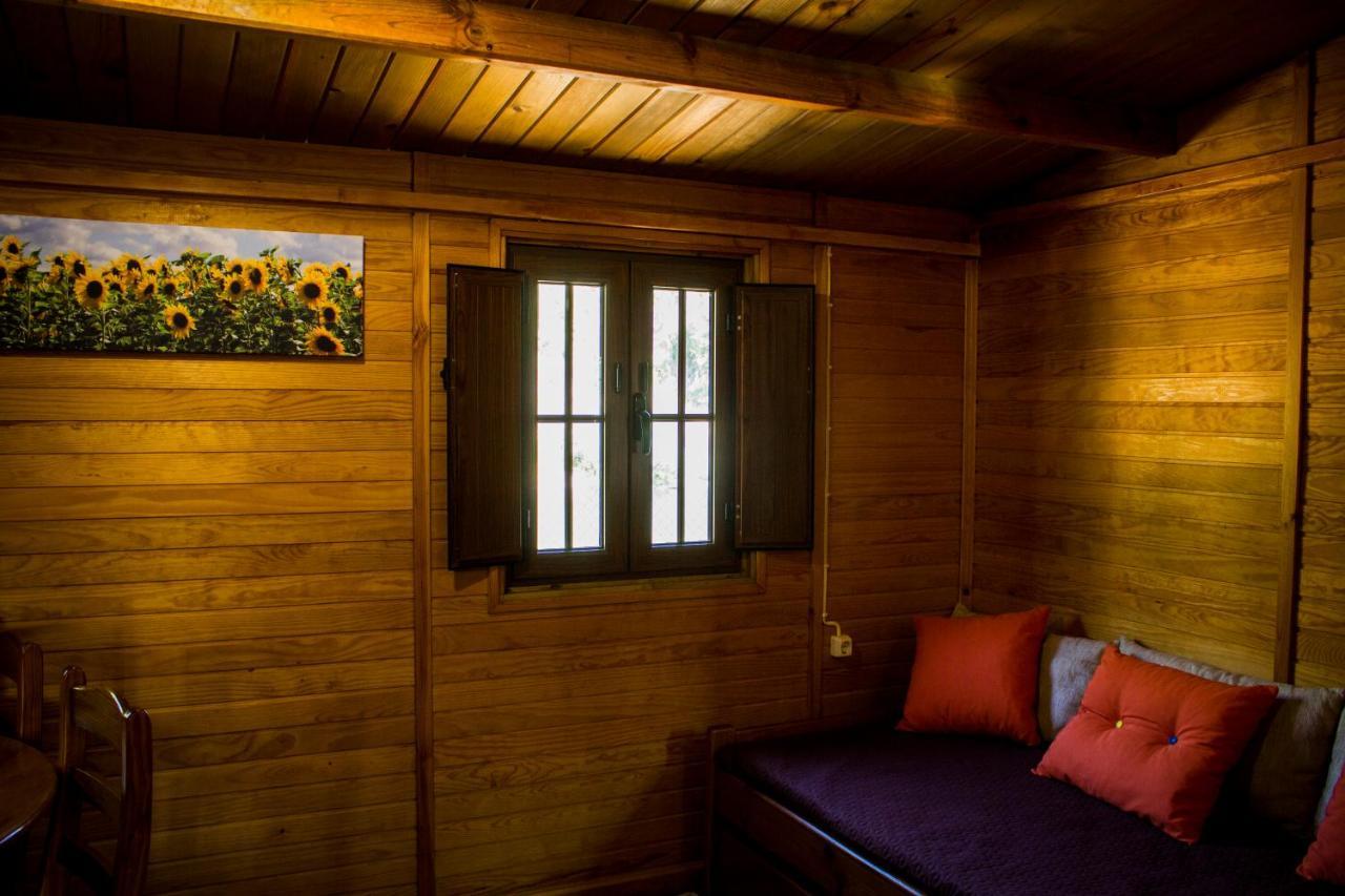 Xisto Camping Janeiro de Baixo Exteriör bild