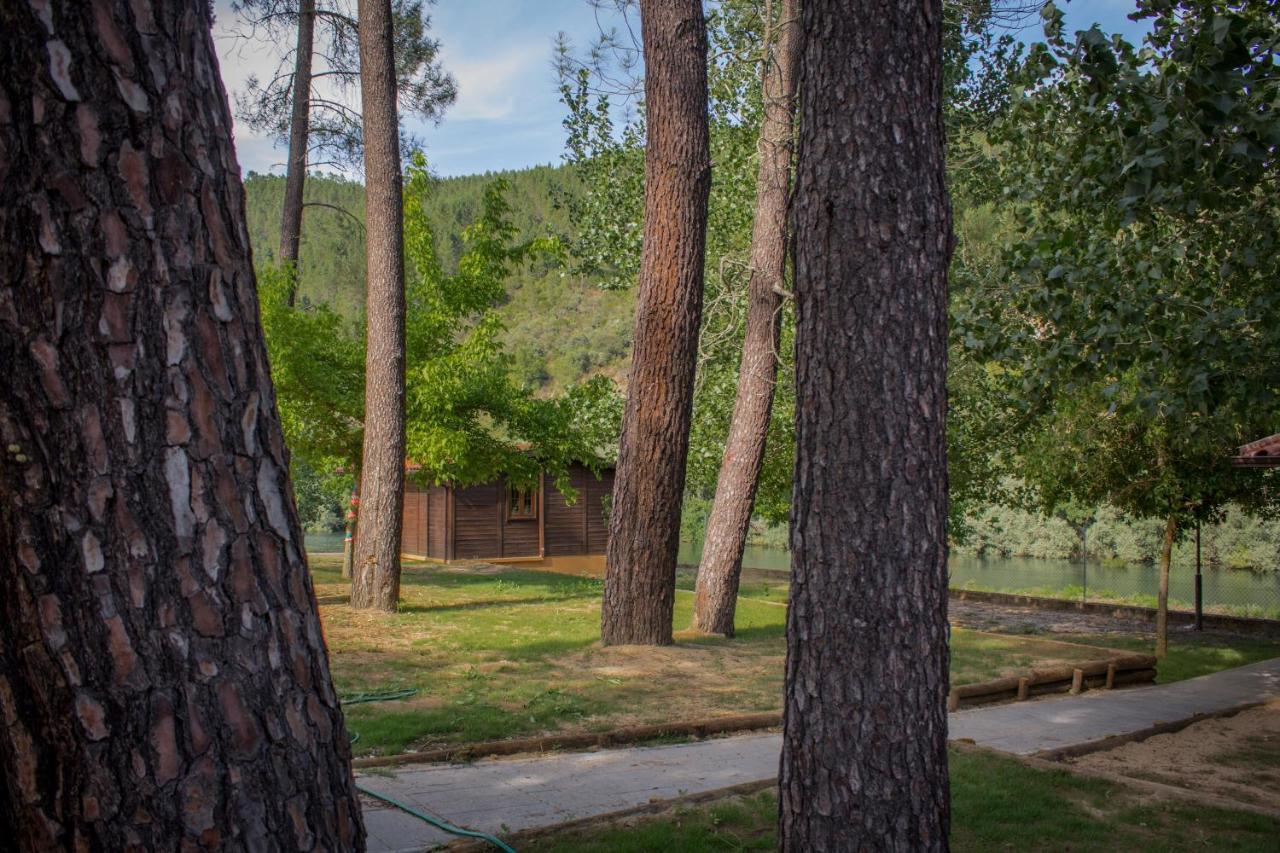Xisto Camping Janeiro de Baixo Exteriör bild