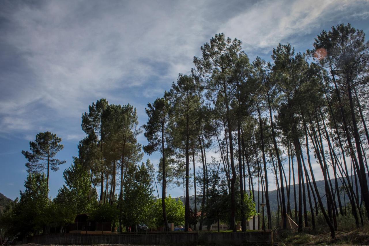 Xisto Camping Janeiro de Baixo Exteriör bild
